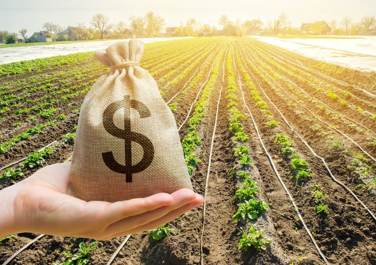 BOA NOTÍCIA: Plano Safra 2021/2022 anuncia R$ 251 bilhões para produtores rurais