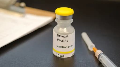 Estudo aponta alta eficácia de vacina do Butantan contra a dengue