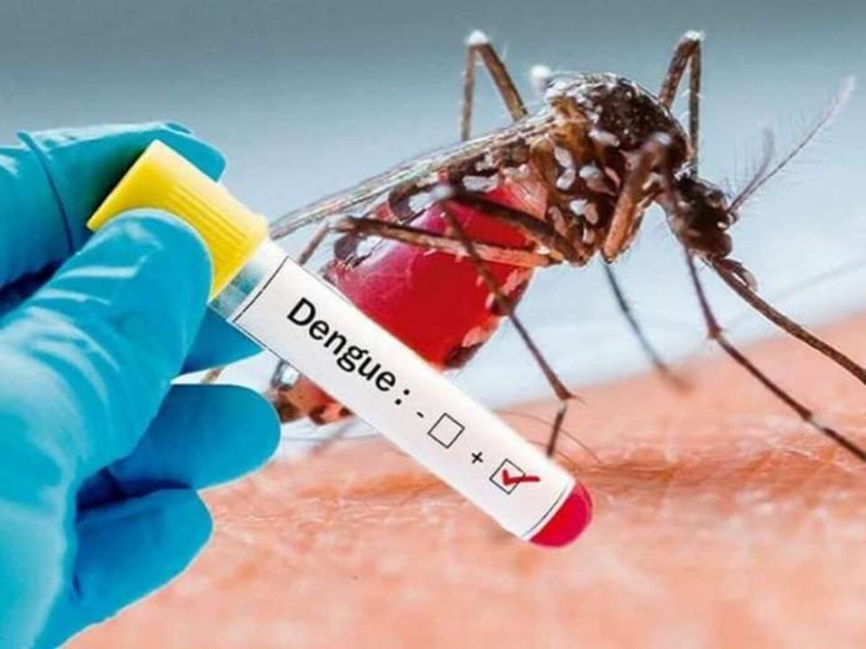 BRASIL BATE RECORDE DE MORTES POR DENGUE