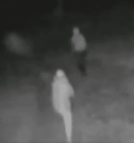 CRIMINOSOS FURTAM FAZENDA EM TRÊS PONTAS