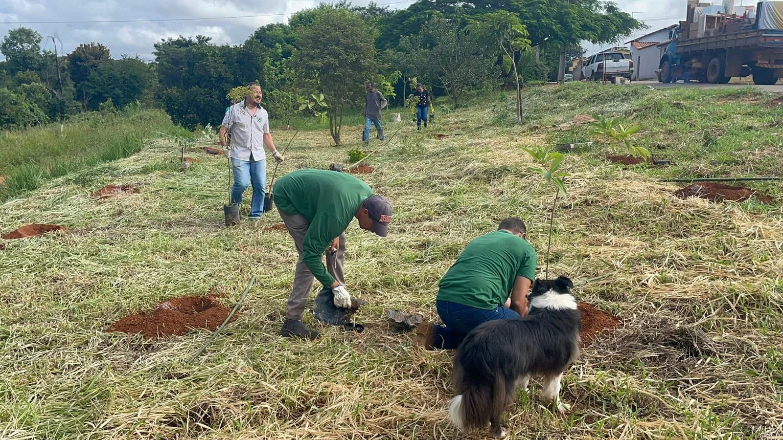Moradores do Vista Alegre se unem à Prefeitura em ação de plantio de árvores no bairro